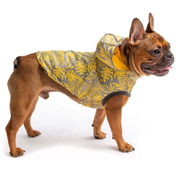 Reversible Waterproof Small Dog Raincoat - Picture 1 of 5
